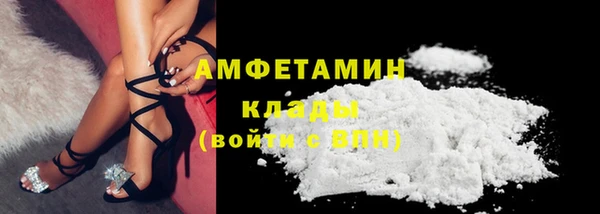 PSILOCYBIN Алзамай