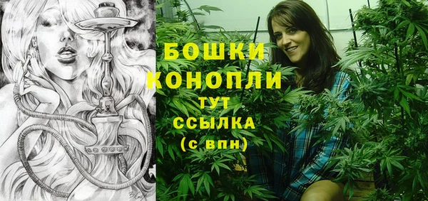 PSILOCYBIN Алзамай