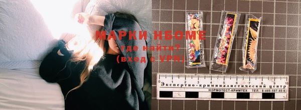 индика Приозерск