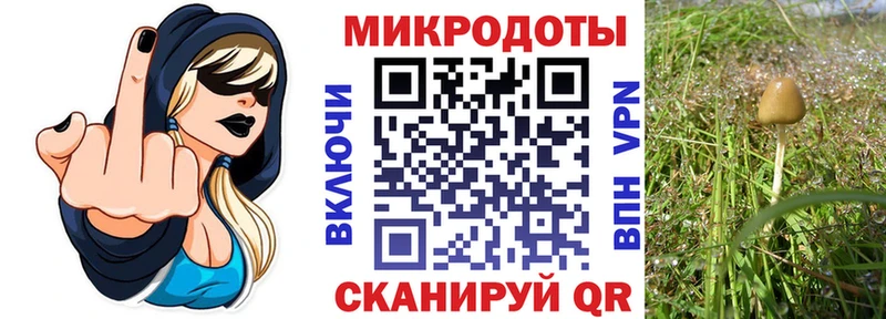 Галлюциногенные грибы Cubensis  Городец 